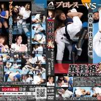 AID-01 The soul of different kinds of martial arts bouts No1