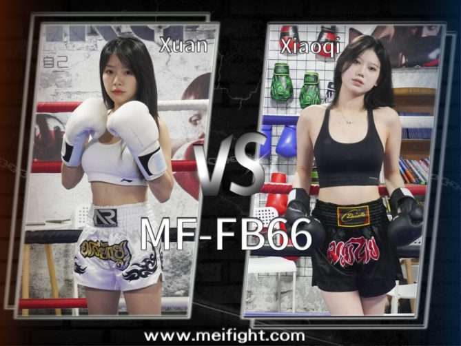 MF-FB66 Xuan VS Xiaoqi