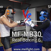 MF-MB30 Shina VS Aluo-Real Boxing6 Aluo, Shina